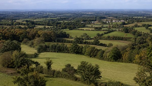 Les paysages du bocage vendéen : un tableau inattendu de la nature